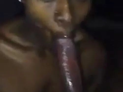 હની નામની સેકસી પીચર ...