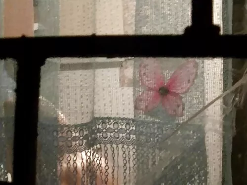 તોફાની પગવાળું એશિયન ...