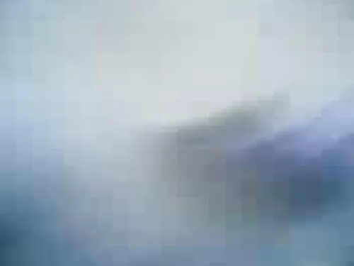 પંપાળતું રશિયન કલાપ્ ...