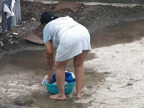 બોડેસિયસ શ્યામા લેડી ...